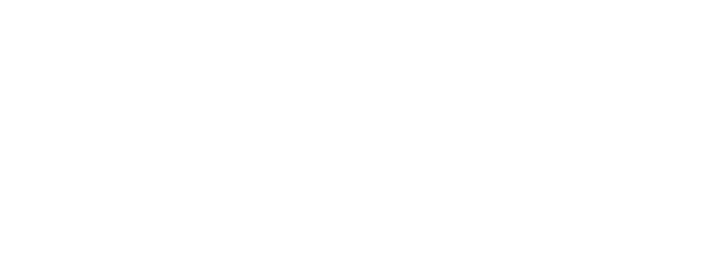 Stichting Matchis logo
